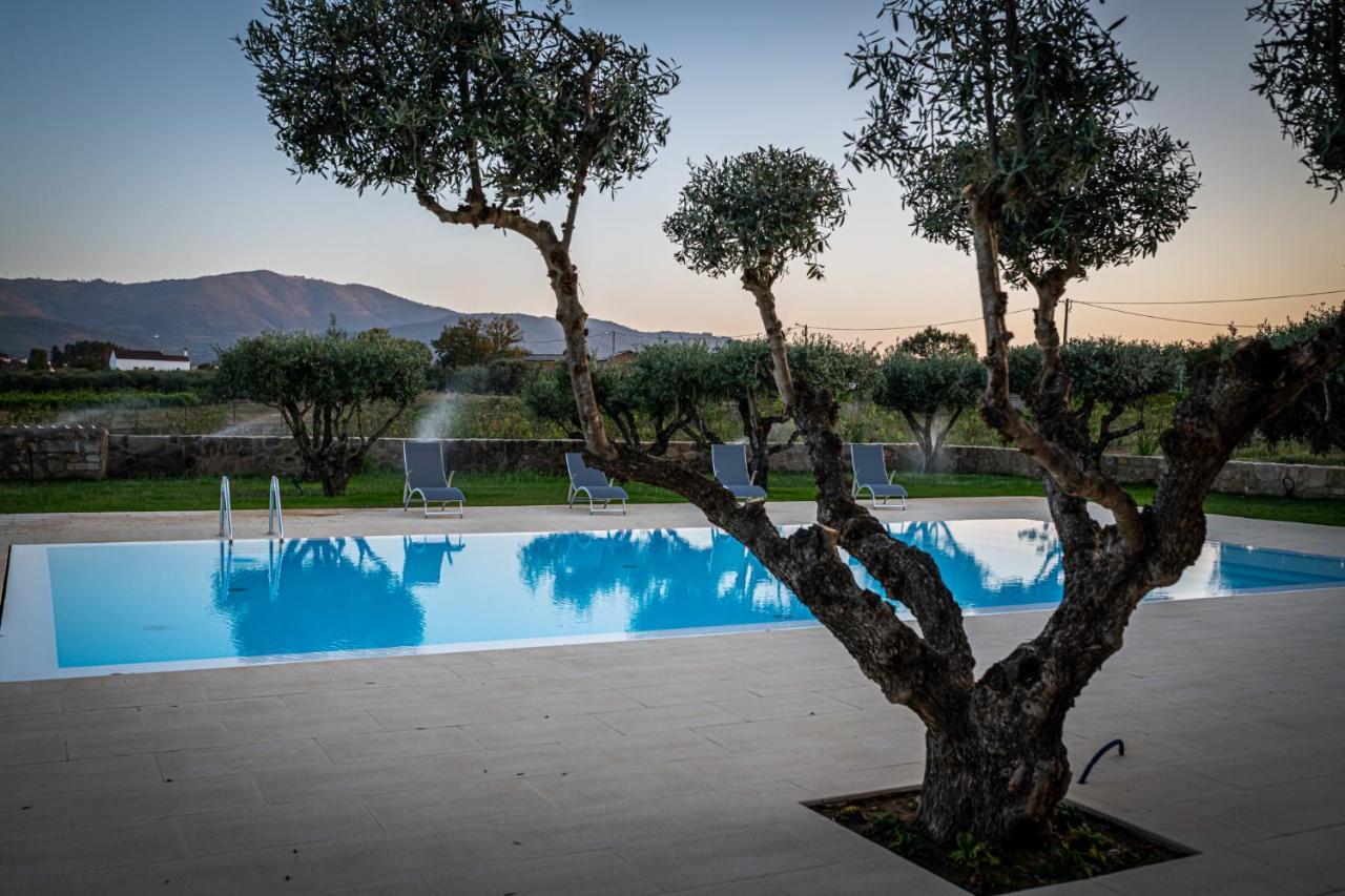 Quinta Das Oliveiras Turismo Rural Fundão Dış mekan fotoğraf