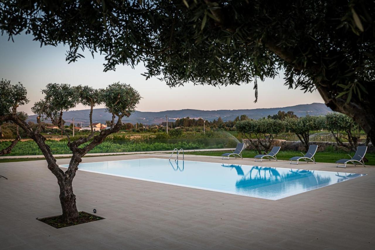 Quinta Das Oliveiras Turismo Rural Fundão Dış mekan fotoğraf