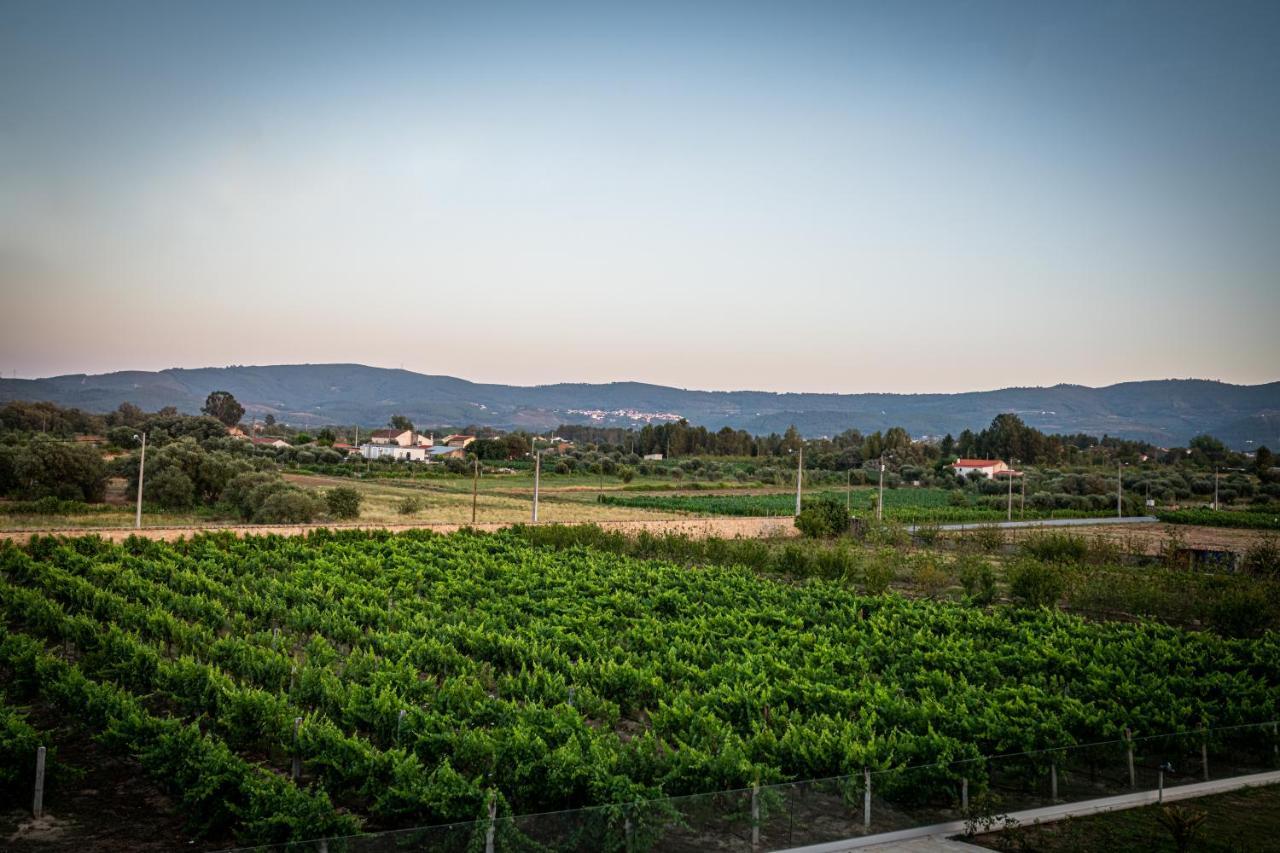 Quinta Das Oliveiras Turismo Rural Fundão Dış mekan fotoğraf