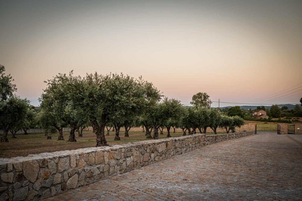 Quinta Das Oliveiras Turismo Rural Fundão Dış mekan fotoğraf